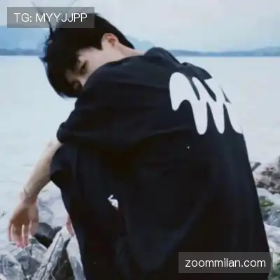 陆冶书